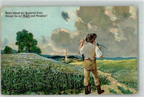 1919 Bauer mit Sense bei der Feldarbeit auf dem mit Kali gedüngten Luzerne Feld Kalisyndikat G.m.b.H.