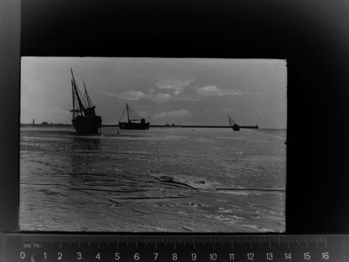 Büsum Boote