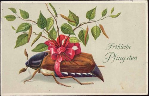 1914 -Fröhliche Pfingsten-, Maikäfer, rote Schleife, Birkenzweig