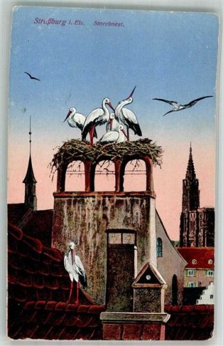 Strasbourg 1916 Storchennest Feldpost WK I