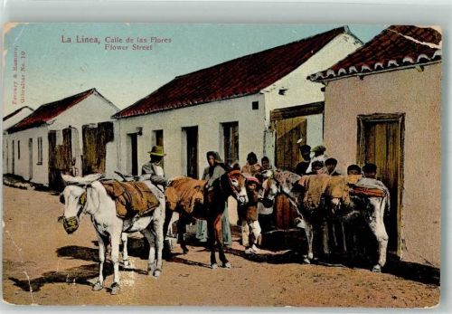 Gibraltar 1909 La Linea Esel Muli Flower Street