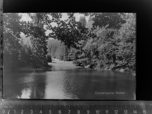Hesselbach Gonderbacher Weiher