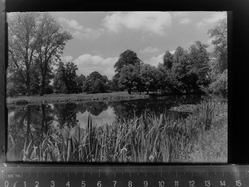 Lich Schlosspark
