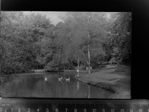 Meinerzhagen Teich