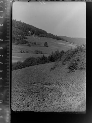 Willingen Eichenkreuzheim