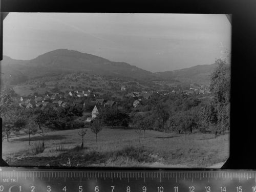 Selbach
