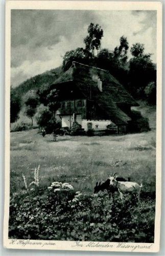 Bauernhaus Ziege Verlag Edm. v. König Schwarzwaldserie VII Blatt12