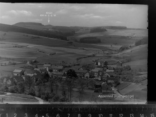 34593 W3589 Appenfeld GLASNEGATIV