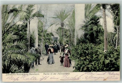 Mannheim 1907 Jubiläums Ausstellung Palmenhalle
