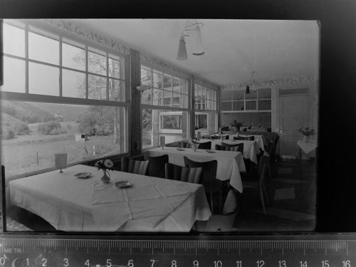 Montabaur Kurhotel Waldruhe