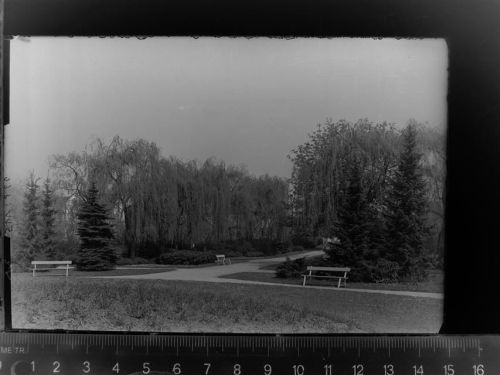 Fröndenberg Park