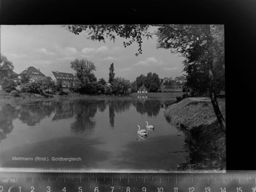 Mettmann Goldbergteich