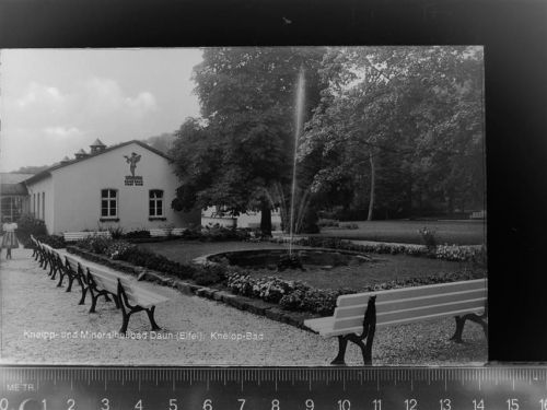 Daun Badehaus Stadt Baum