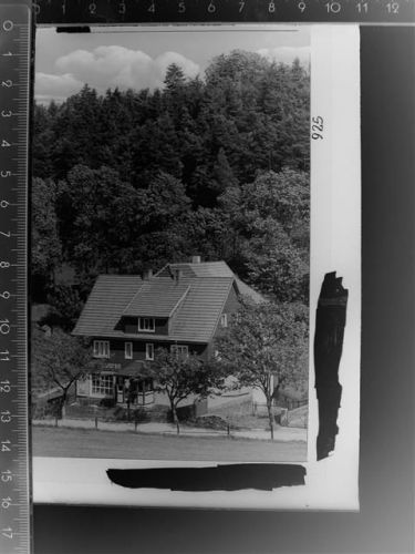 Willingen