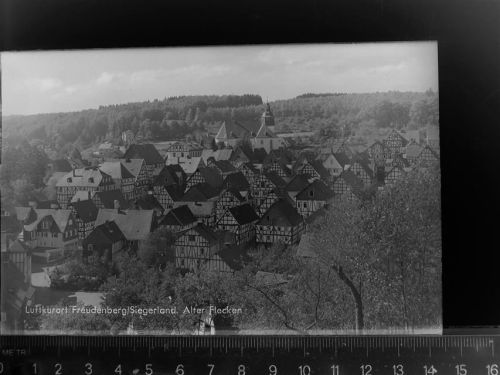 Freudenberg