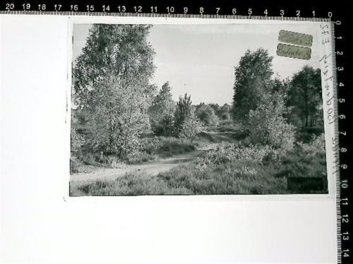 Bodenteich