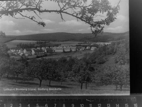 Blomberg Siedlung Steinkuhle