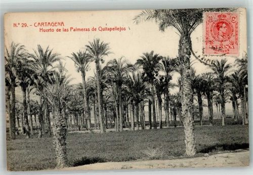 Cartagena Huerto de la Palmeras de Quitapellejos Marke bildseitig