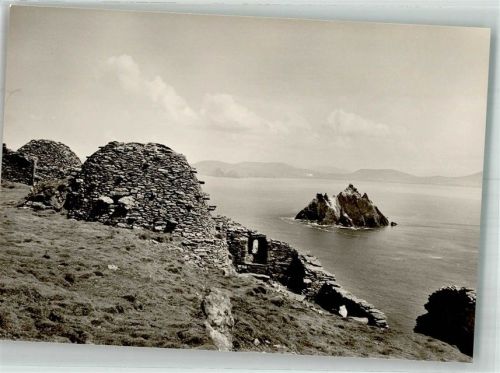 Kerry Insel Skellig Michael Vogelinsel