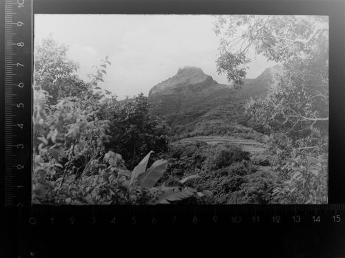 St Kitts und Nevis