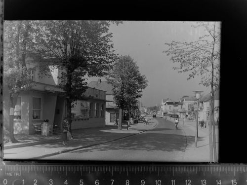 Malente