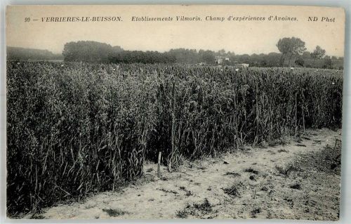 Verrieres-le-Buisson