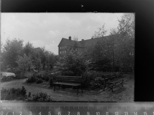 Seppenrade