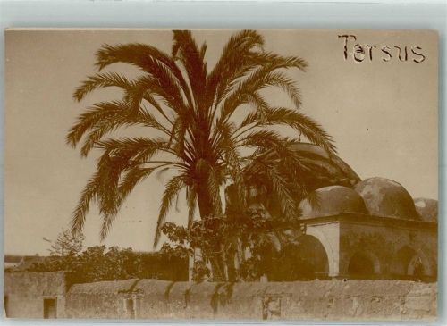 Tarsus Moschee Palme