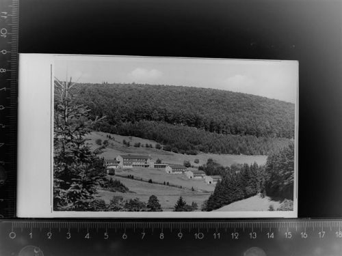 Willingen