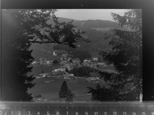 Menzenschwand