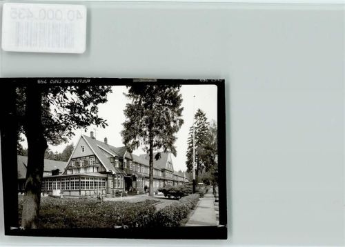 Jesteburg Sanatorium Rüsselkäfer