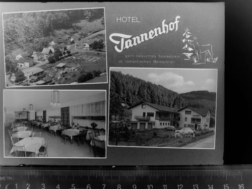Dies Hotel Tannenhof