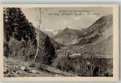 Mittlach Forsthaus Herrenberg