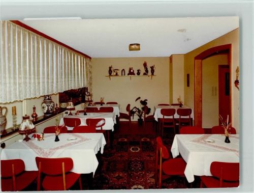 59955 W5788 Züschen , Westf FOTO KEINE AK zum treuen Bernhardiner