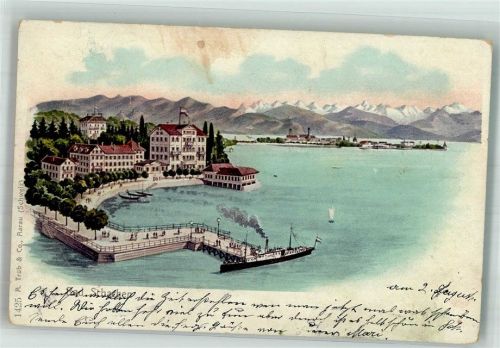 Bad Schachen 1904 Panorama des Ortes mit Hafen und Bodenseeschiff