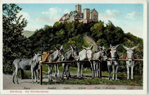 Eisenach Esel Standplatz Wartburg