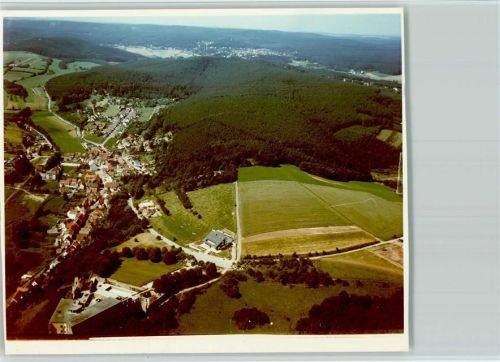 Altleiningen Luftaufnahme