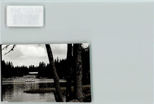 94252 W8371 Arberhütte FOTO KEINE AK Großer Arbersee Ruderboot