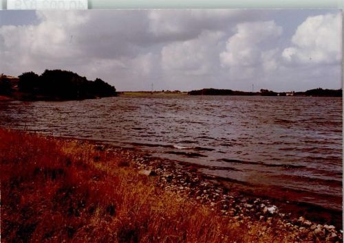 24988 W2391 Oeversee FOTO KEINE AK Seeblick