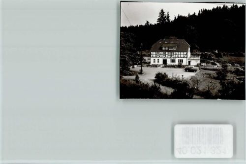 Fohlenplacken Alte Mühle
