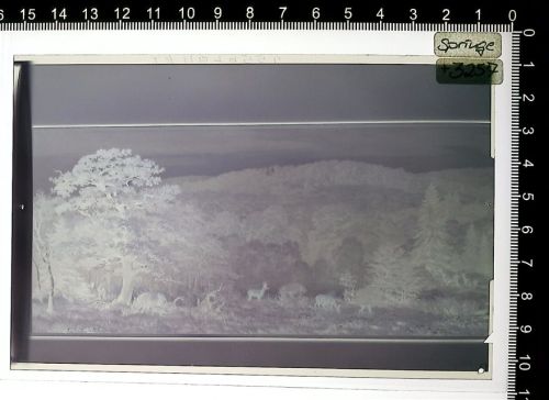 Springe Kleber auf Schutzfolie