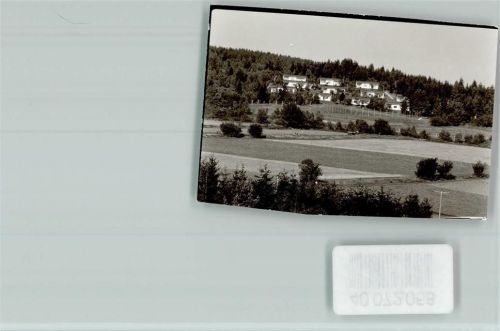 Schönsee Ortsansicht