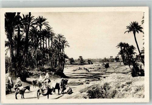 Marrakesch 1948 Esel Tracht Oase Palmen