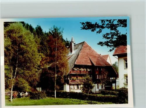 Gütenbach Schwarzwaldhaus