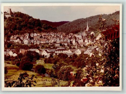 Biedenkopf Ortsansicht