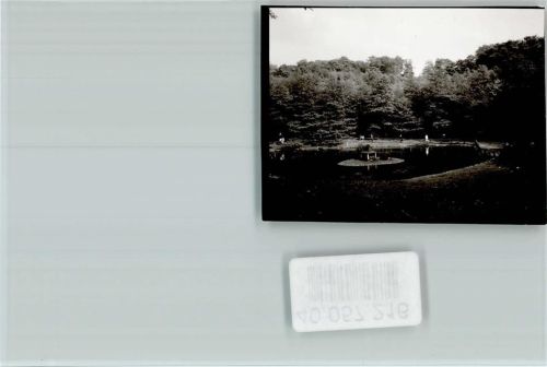 Mülheim Parkteich
