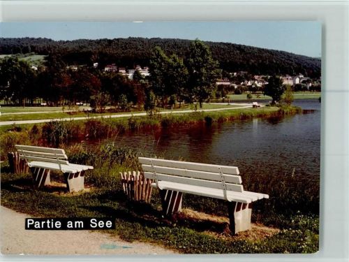 Bad König Partie am See