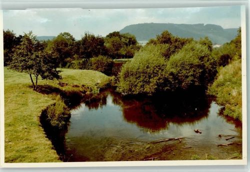 Godelheim Treibholz