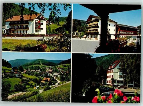 Enzklösterle Hotel Hirsch Ortsansichten 4-Bildaufnahme
