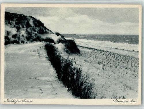 Norddorf Dünen am Meer AKU2